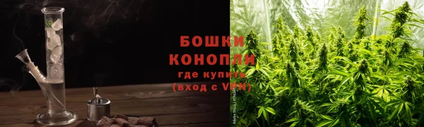 mdpv Богородицк