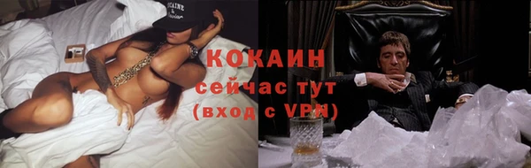 стафф Богданович