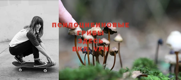 mdpv Богородицк