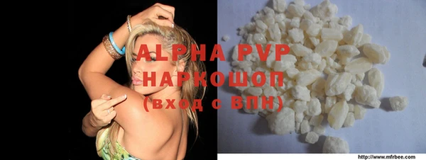 стафф Богданович