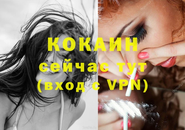 стафф Богданович