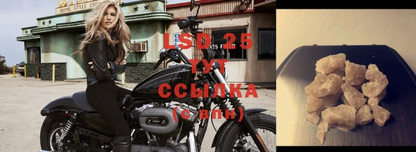 стафф Богданович