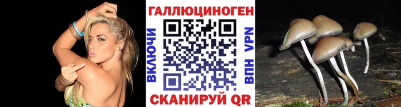 ссылка на мегу вход  Муравленко  Псилоцибиновые грибы Psilocybine cubensis 